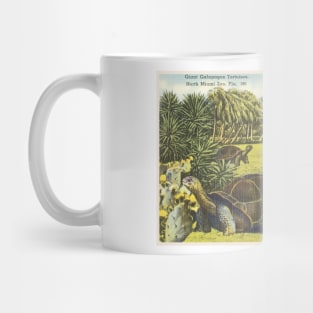 Giant Galapagos tortoises, North Miami Zoo postcard Mug